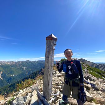 キノコのサラダ