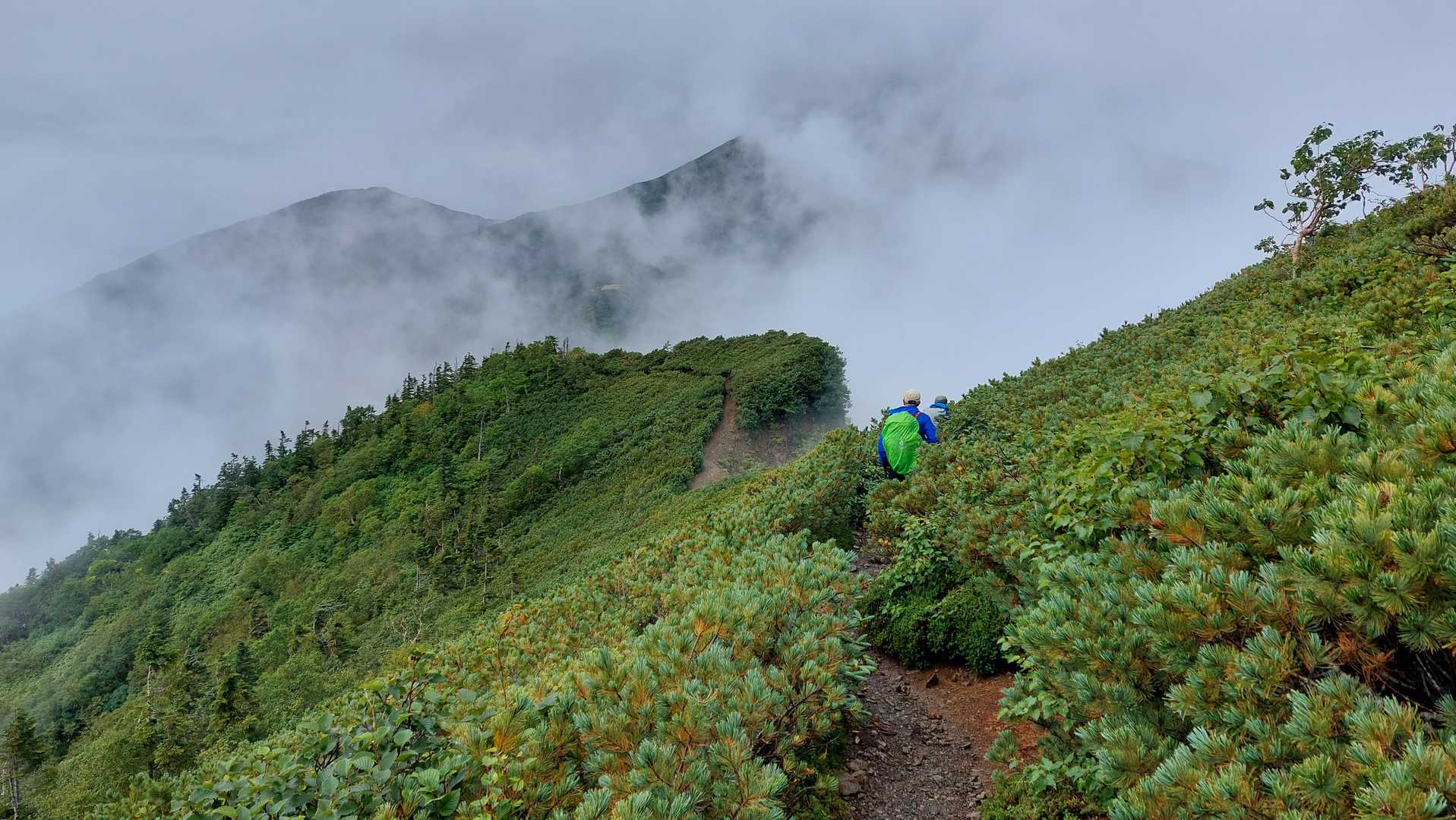 柏原新道登山口-爺ヶ岳-爺ヶ岳 縦走コースの写真