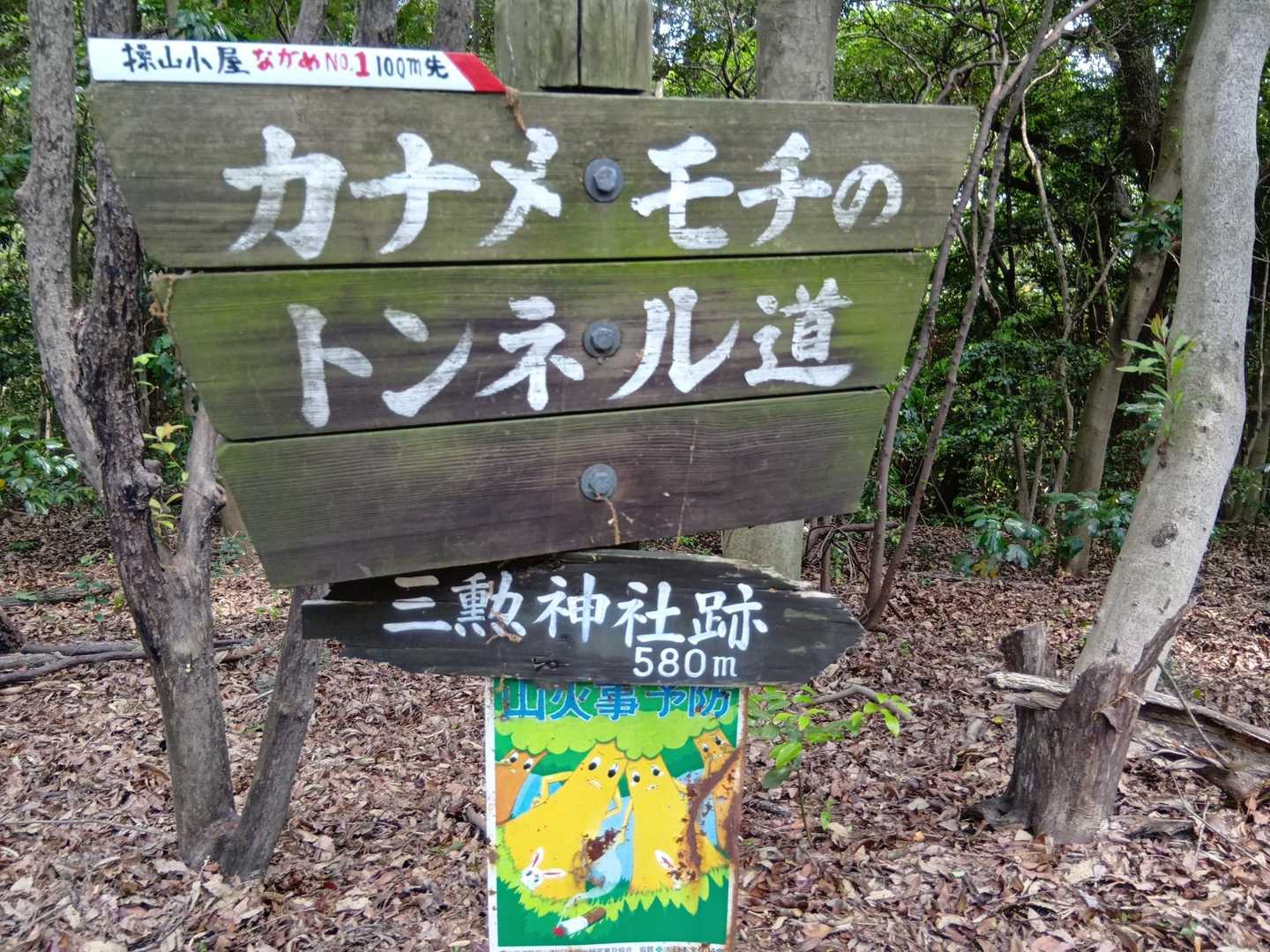 操山 往復コースの写真