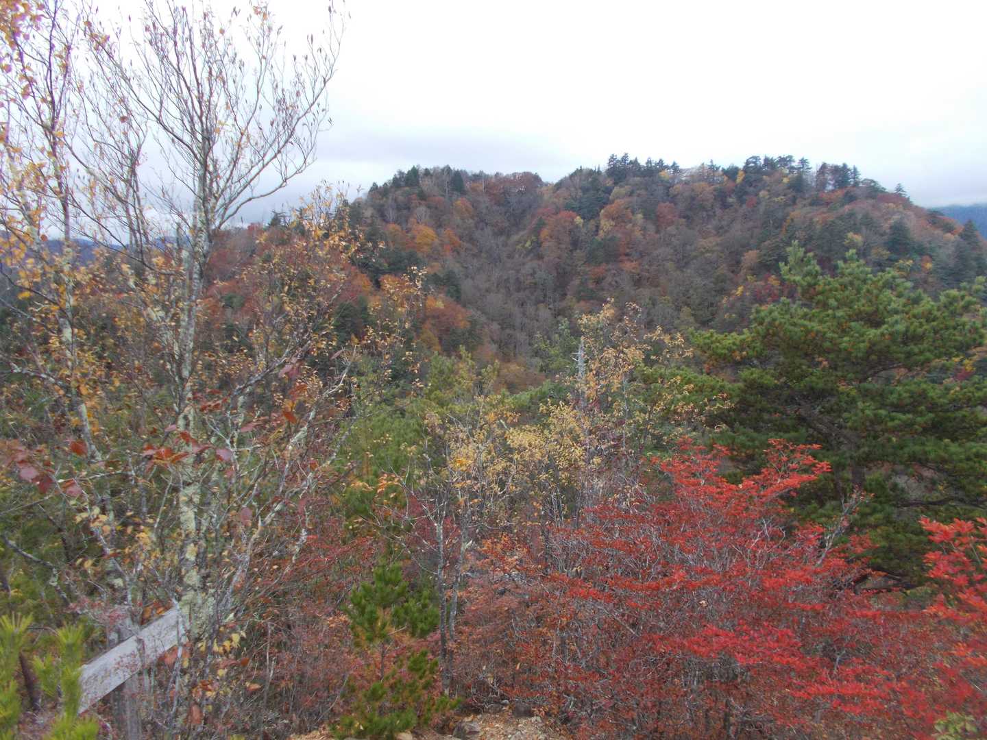 ヤツウチグラ（三笠山）からの諏訪山