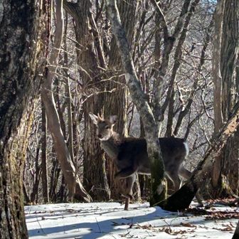 おはようございます💕