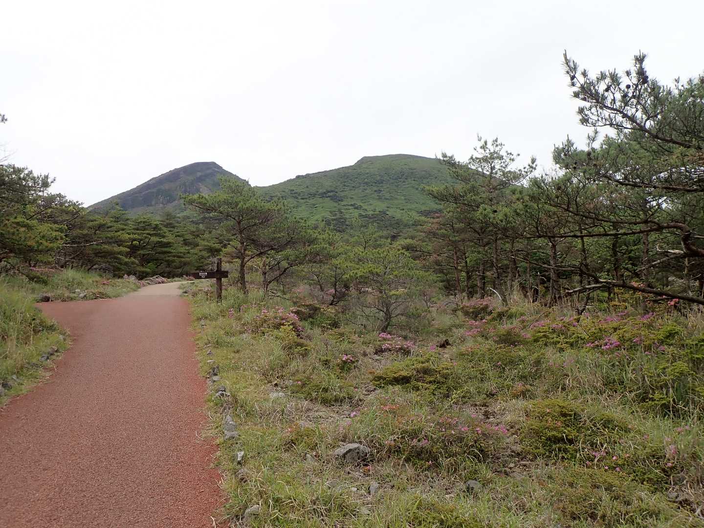 新緑に包まれた韓国岳