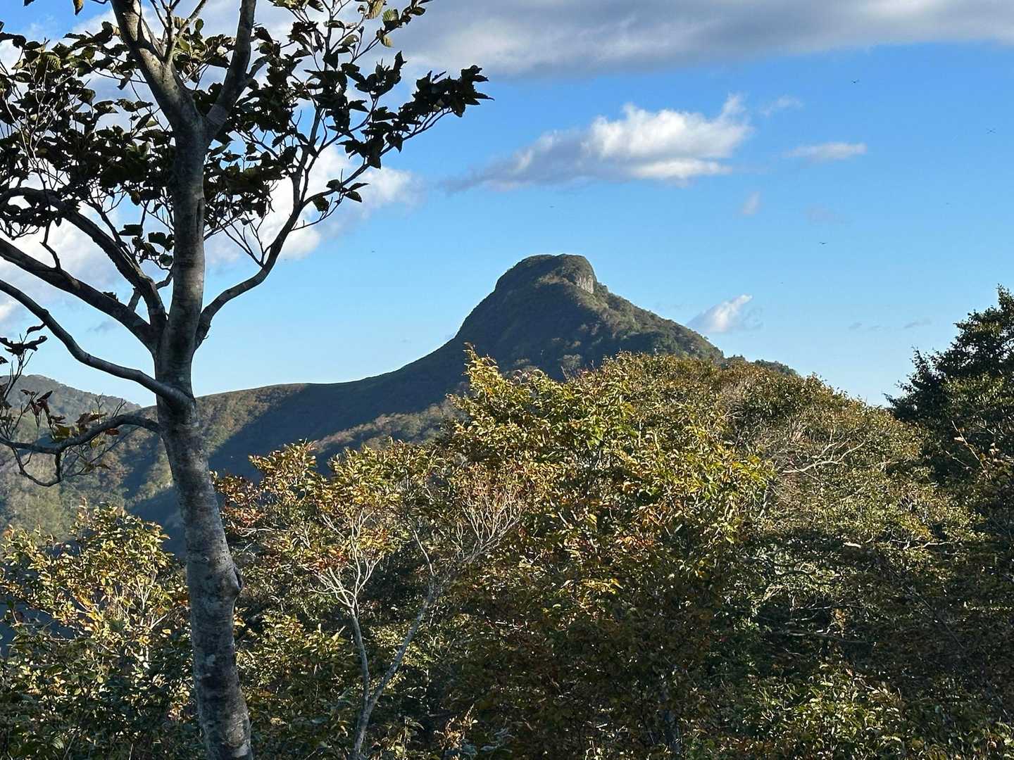 シュモク鮫に見えるポイントからの冠山を振り返る。　なかなか楽しめます😊