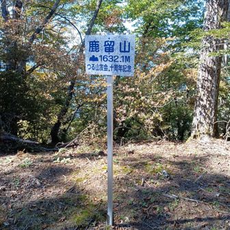 ずっと前から気になっていた初めての鹿留山!!鹿もこれより前に進めないと例えられる位片面がえぐられている。