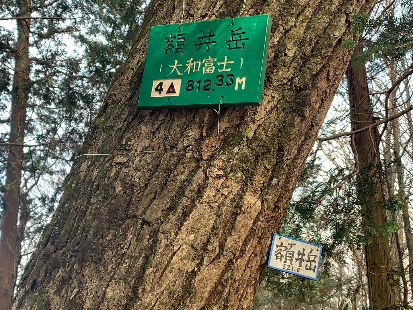 額井岳は大和富士と言われてるんですね👍