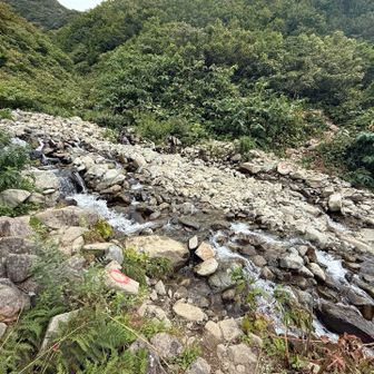 荒菅沢は本谷橋みたいなセーブポイントだな