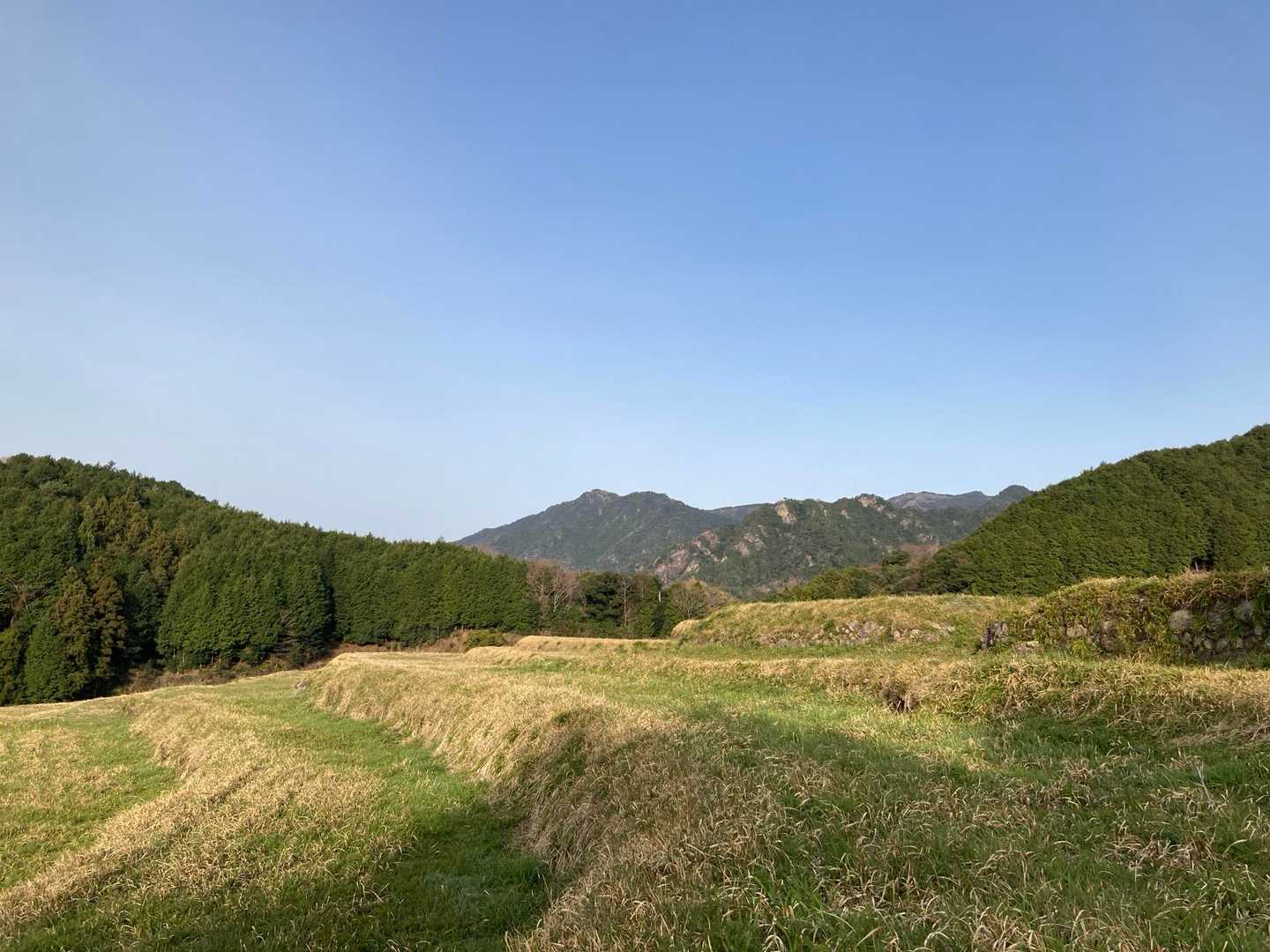 坂本の棚田