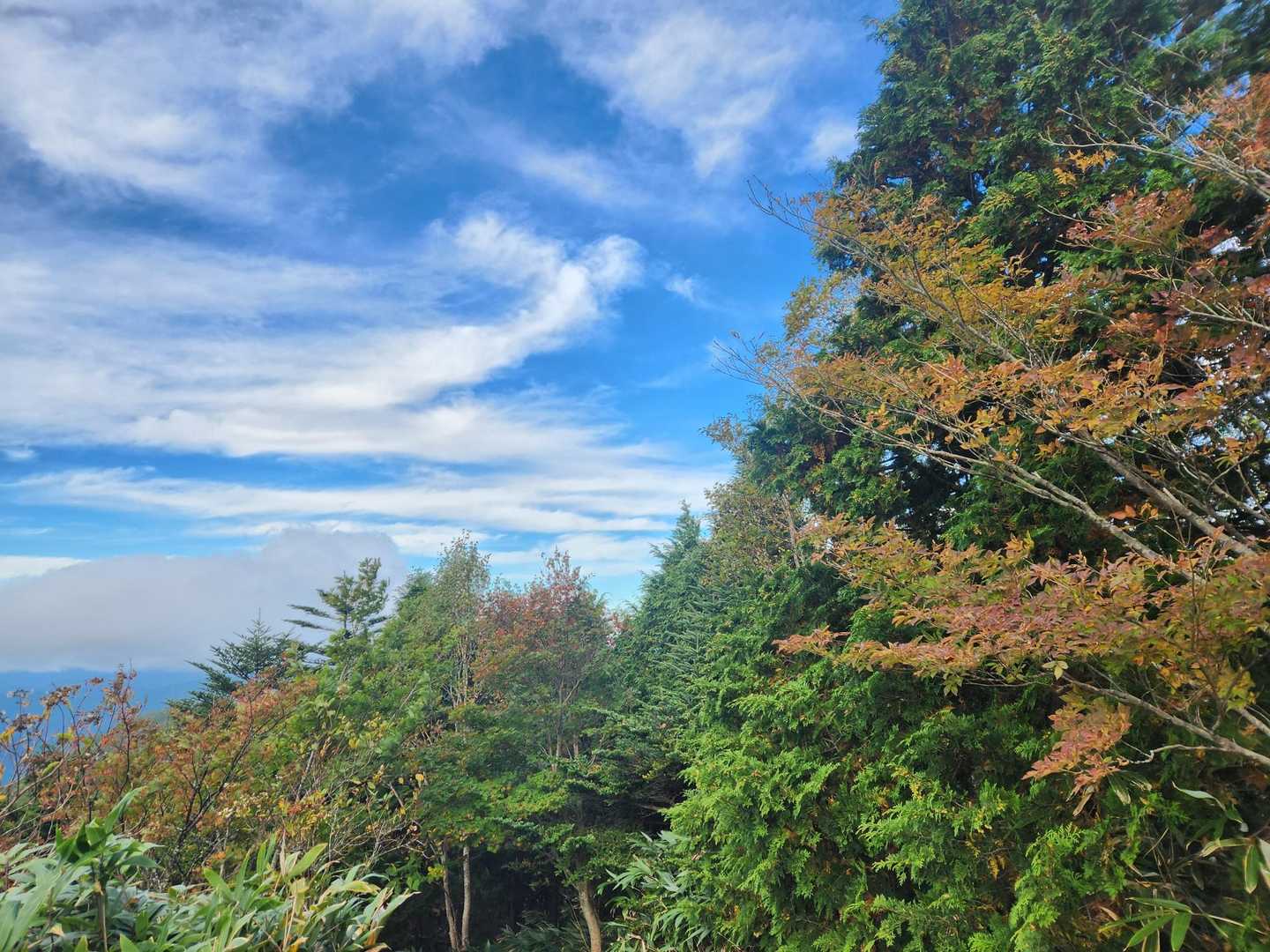 諦めて下山😭
往復３時間…消化不良💦