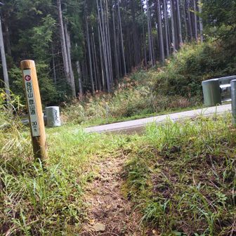 あれ？車道に合流？？

これ車道を来た方が良かったじゃん
この時点で腰痛が耐え難い感じに