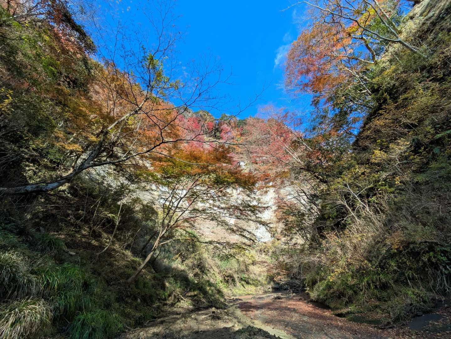 梅ヶ瀬渓谷 散策コースの写真
