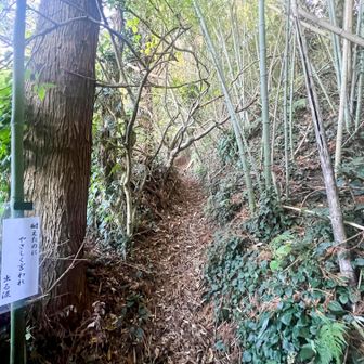 登山道整備と、都度都度に新たに俳句が掲示されていました。
老齢をテーマにした愉快な俳句です。
感謝。