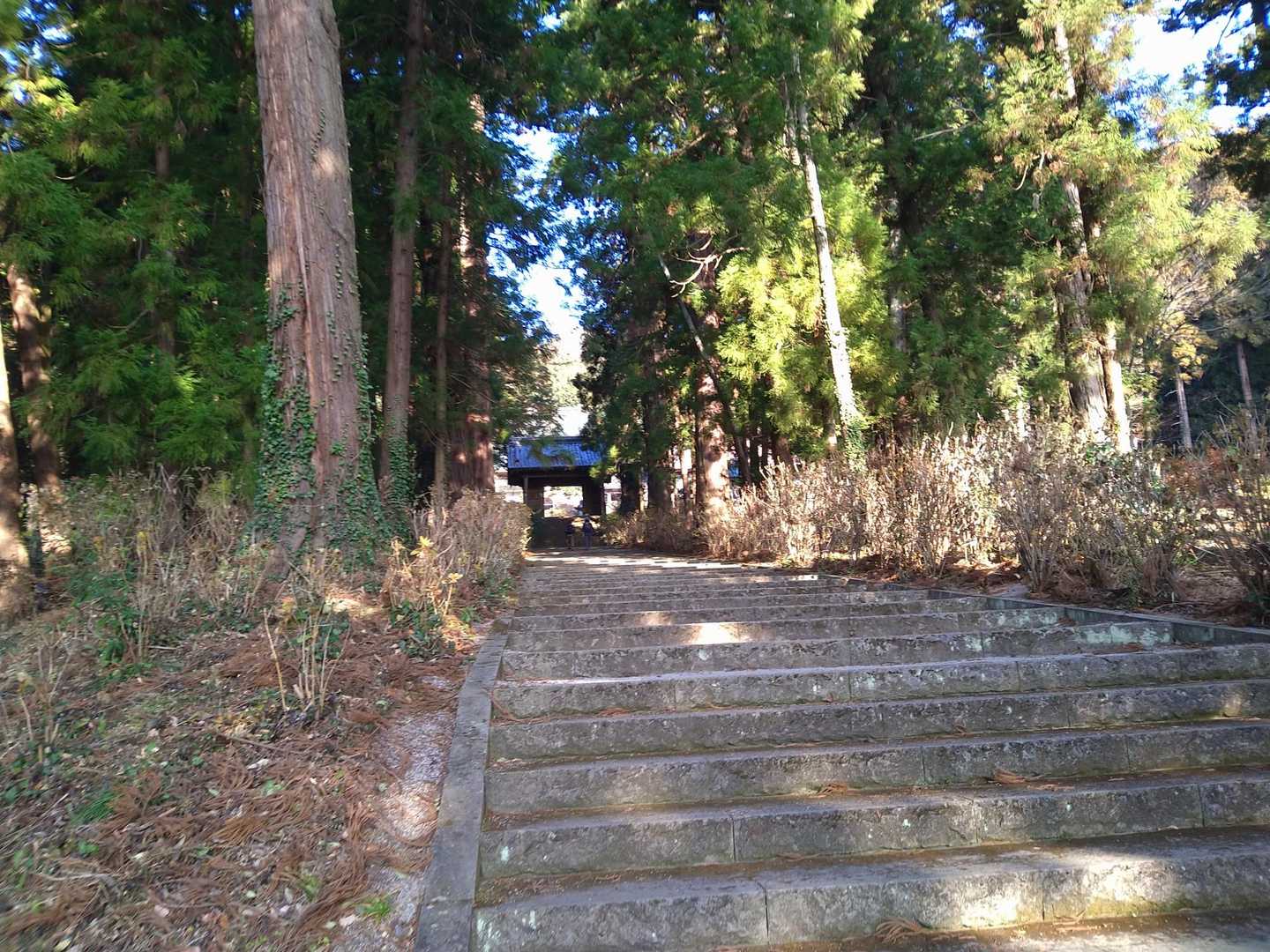 先ずは大中寺へご挨拶