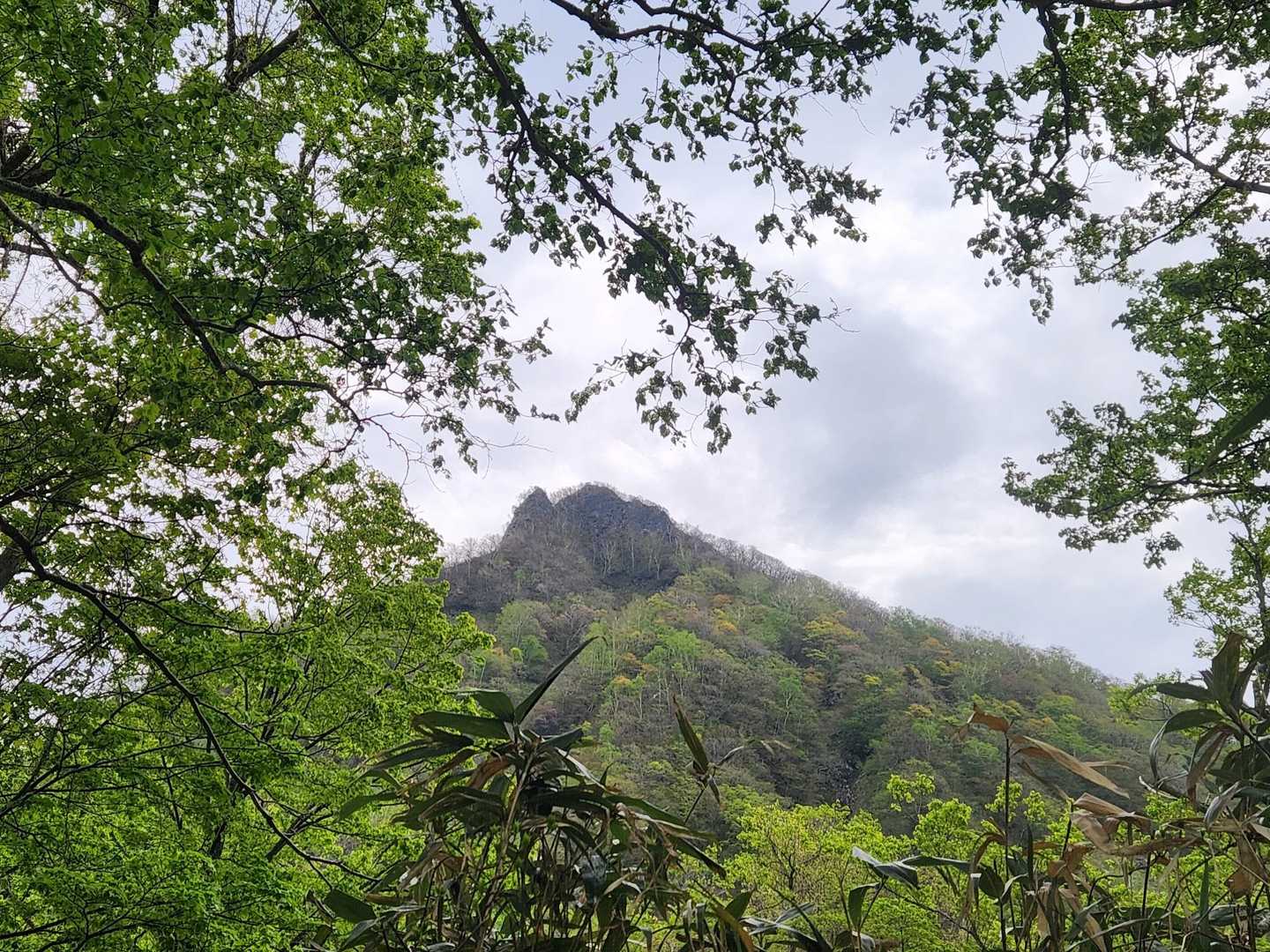 見上げれば⛰️