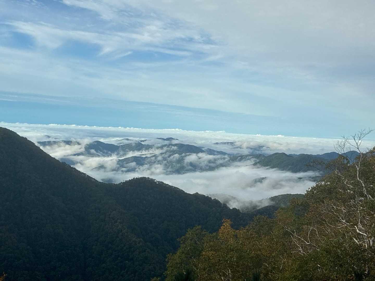 雲海が良いです