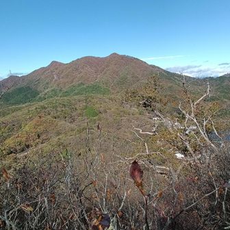 振り返って掃部ヶ岳など