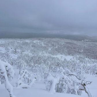 ステキな景色です❄️