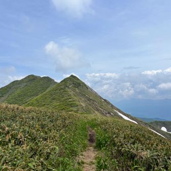 振り返って大烏帽子⛰️