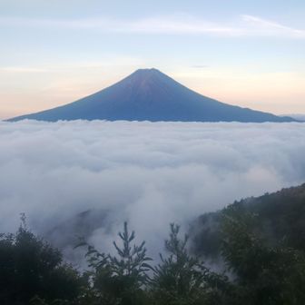 別格だわ　山荘の部屋から、こう、見えます