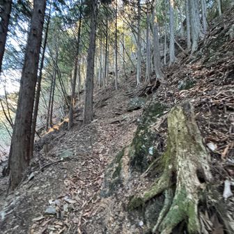 ここにきて
またキューっと、、、登る💦
こういうのが
結構脚にきてます、、😅

