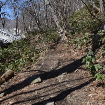 このあたりはすっかり雪がなくなっています