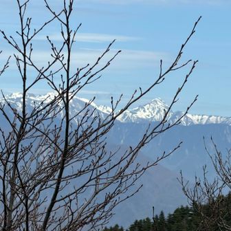右の三角が北岳。左は間ノ岳でしょう。木が惜しいところにあるな。