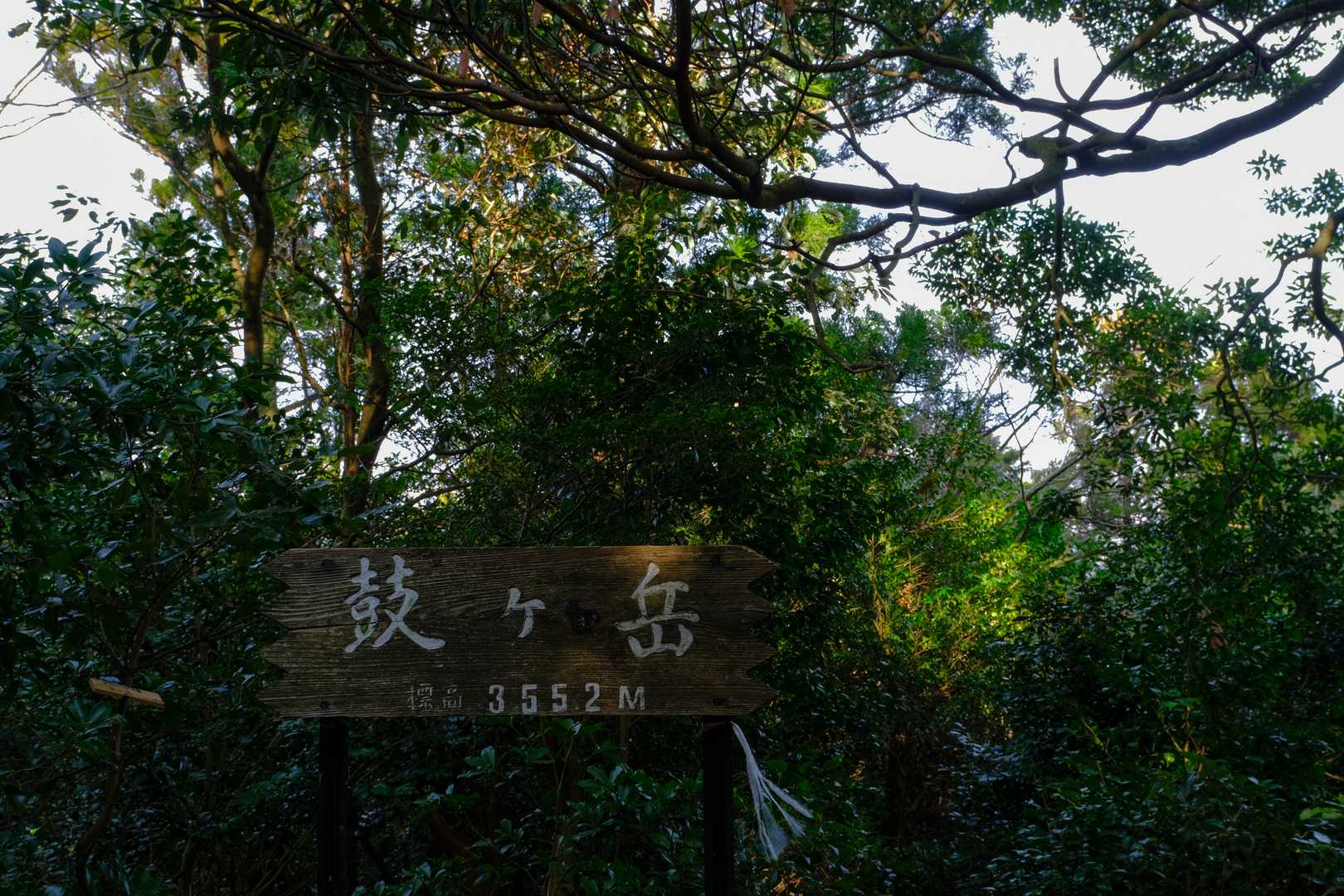 で鼓ヶ岳🤗