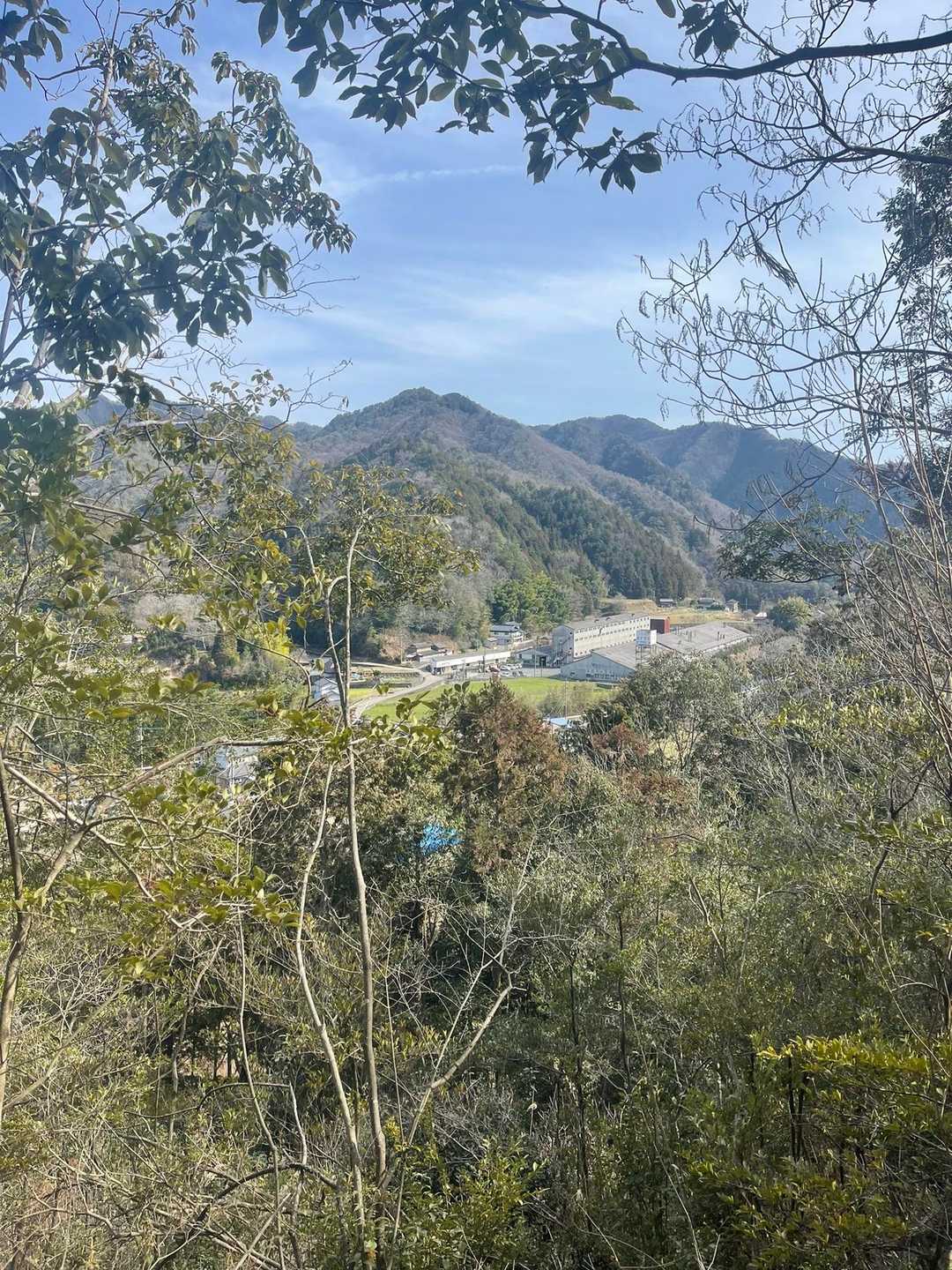大相山 往復コースの写真
