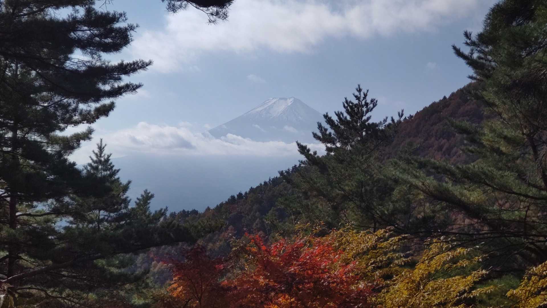 憩いの森公園駐車場-三ッ峠山 往復コースの写真