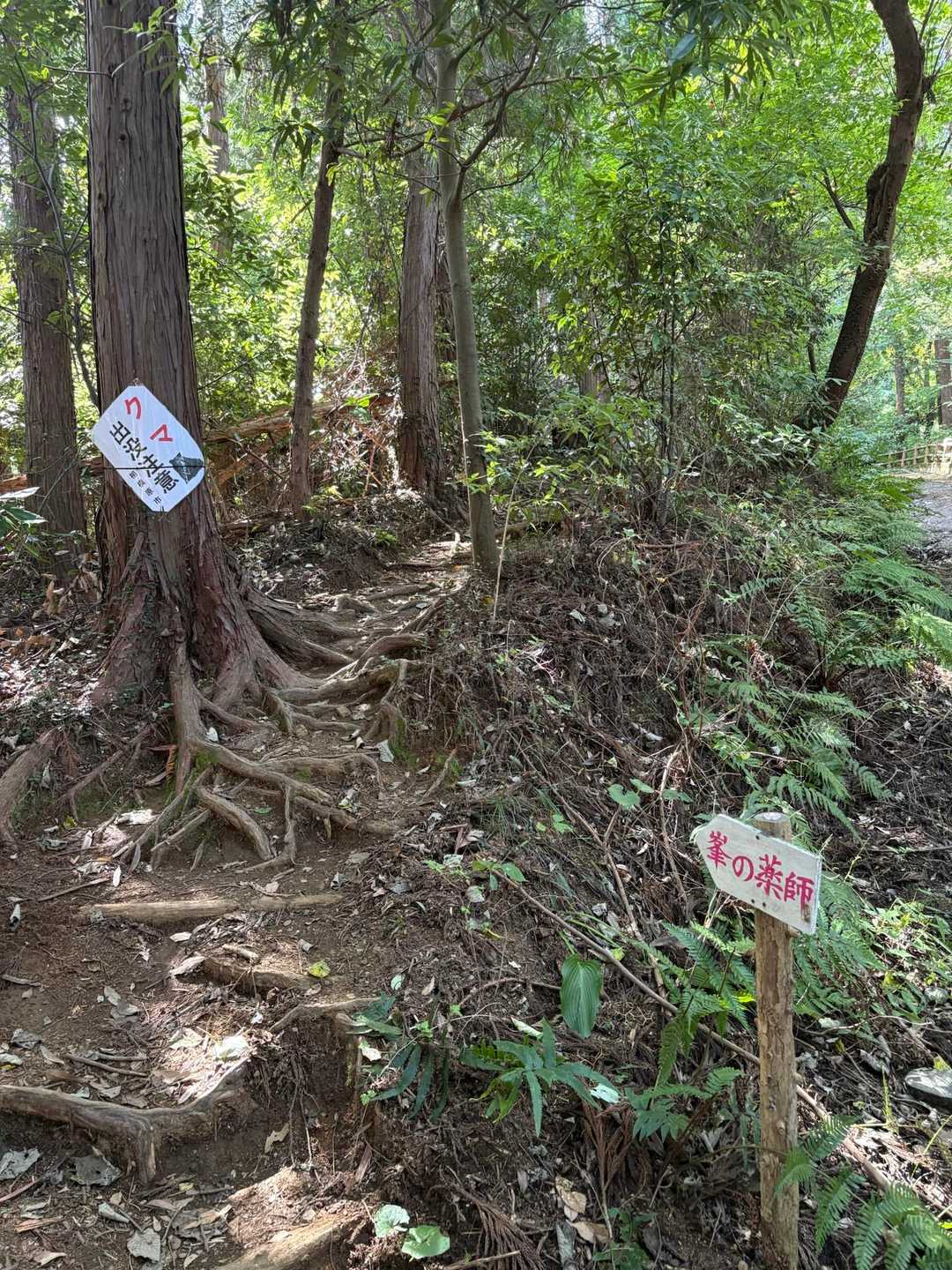 榎窪山-三沢峠-泰光寺山-西山峠 往復コースの写真
