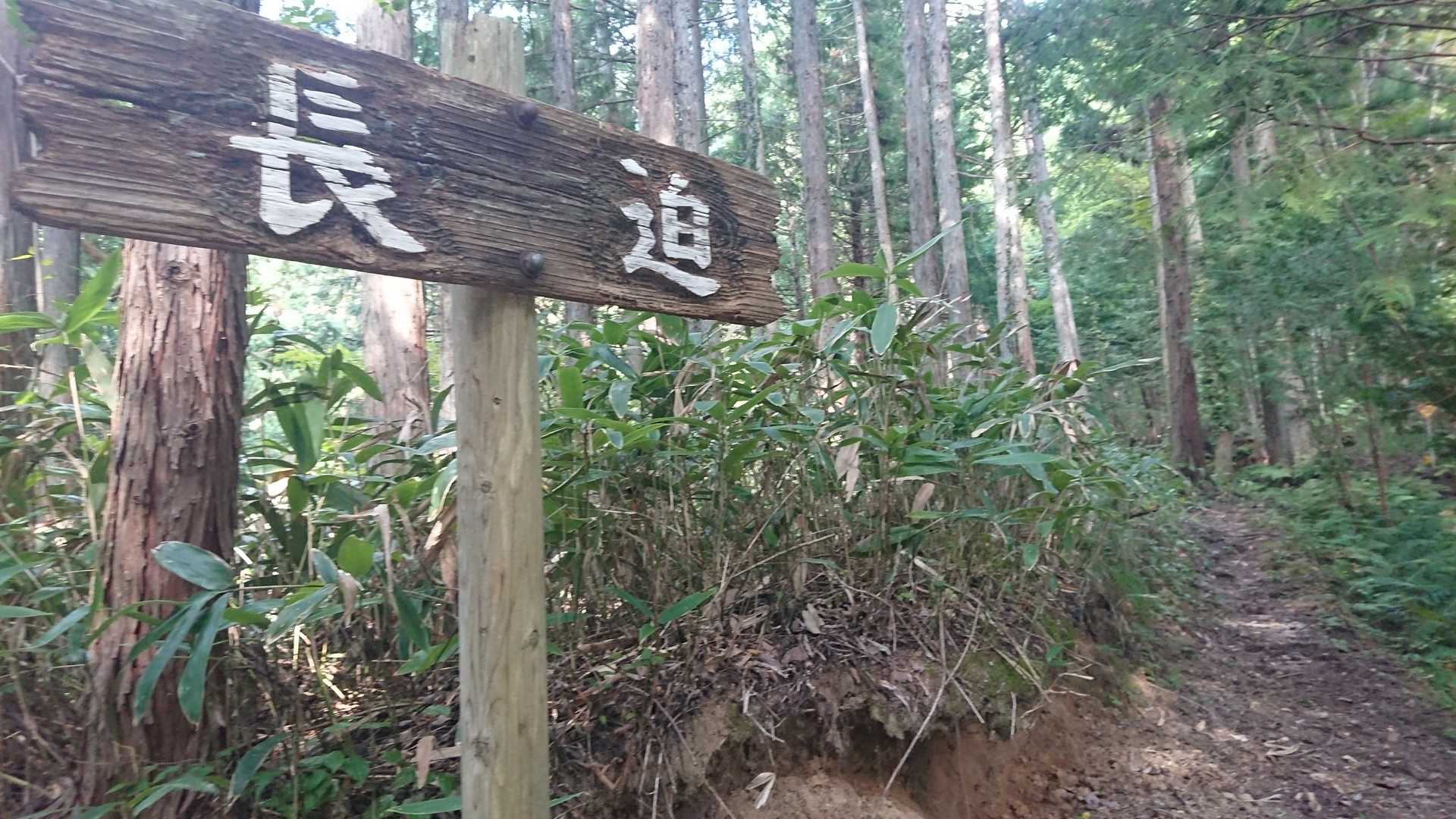 長迫