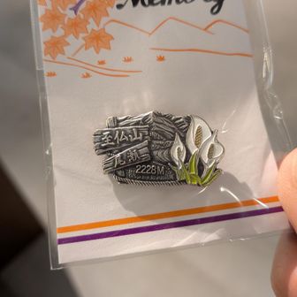 山バッジ購入。