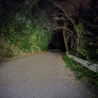 暗いので舗装路で駐車場へ
