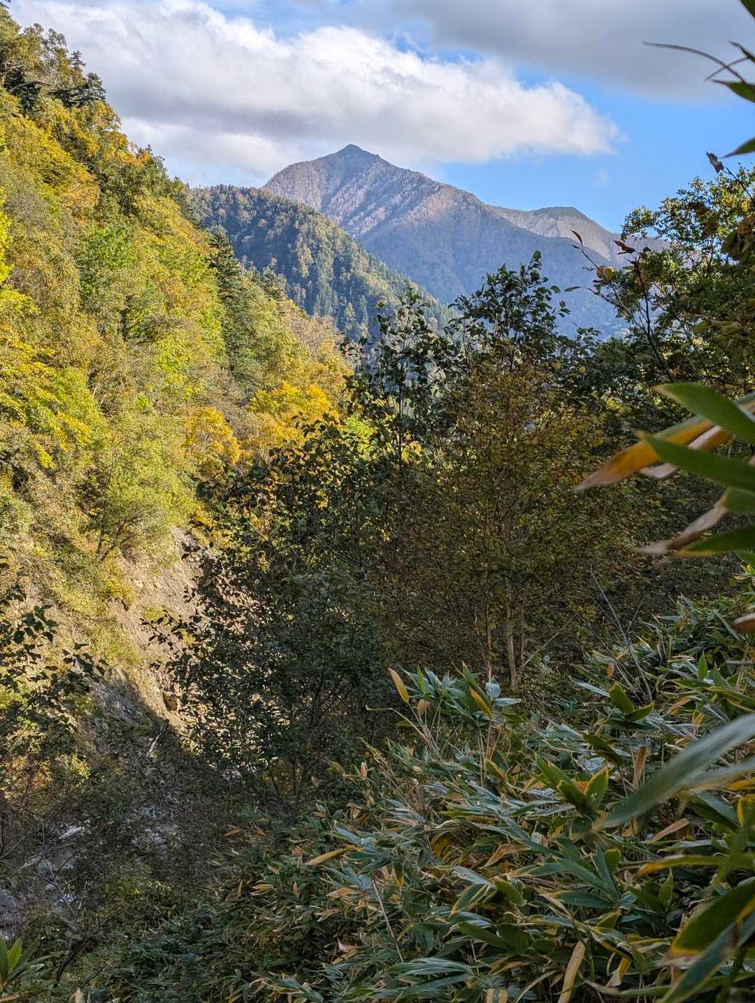 幌尻岳 往復コースの写真