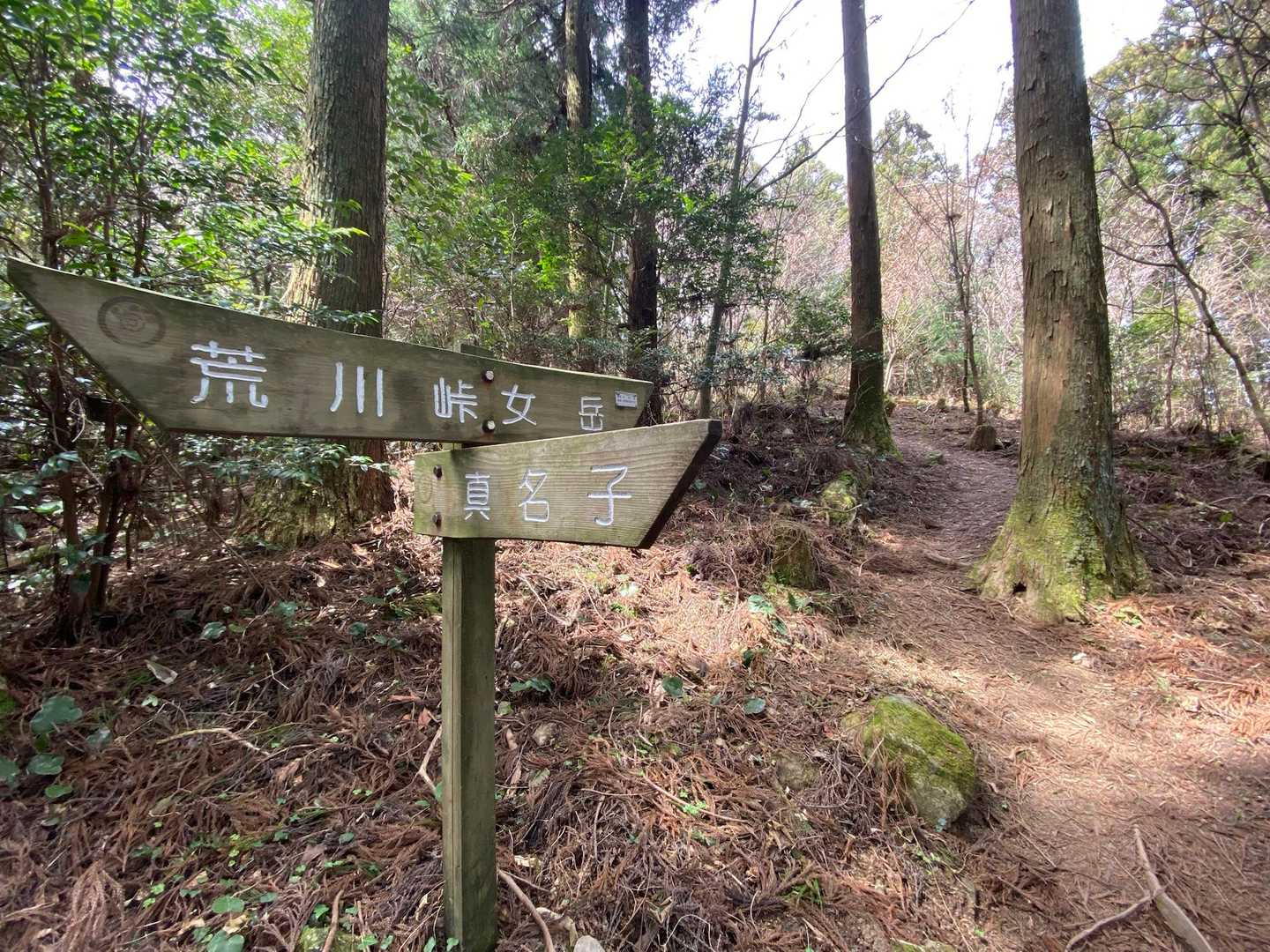 女岳の山頂で会ったグループは
十坊山から蛤岳まで2泊の縦走だそう😳すごい‼️
