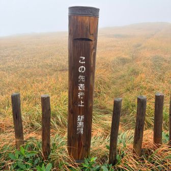 木道の最後まで行ってみた😅
ココが最高点らしい🤣