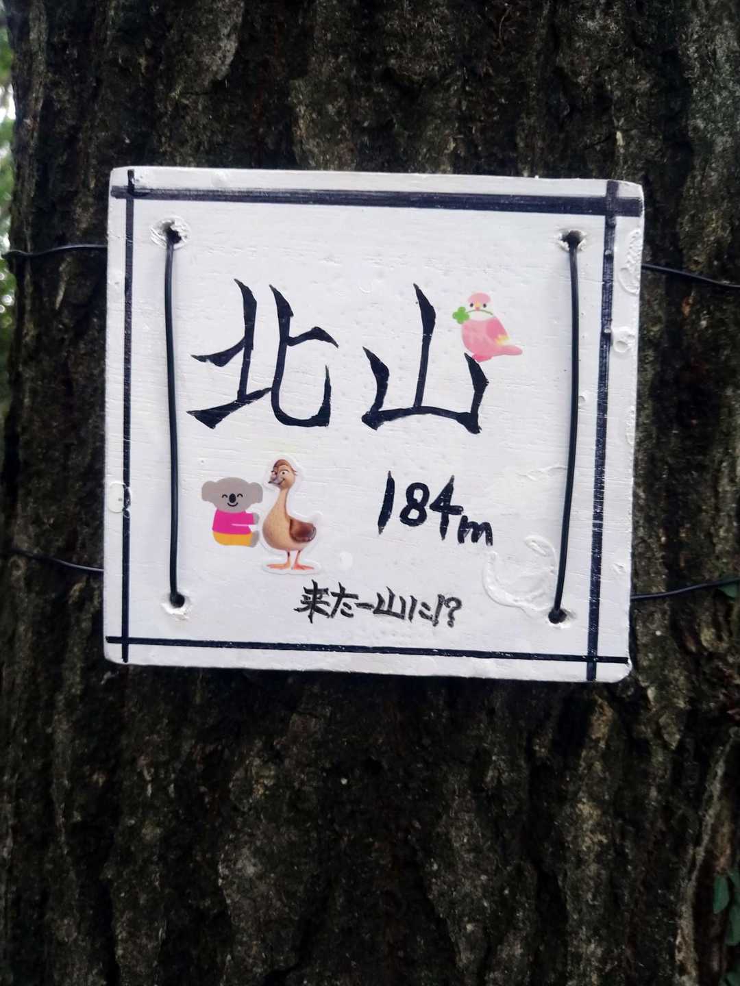 やって来ました…北山
三/ ˙꒳​˙)/