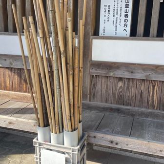 こちらの登山口にもお手洗いと杖が用意されていました👍️