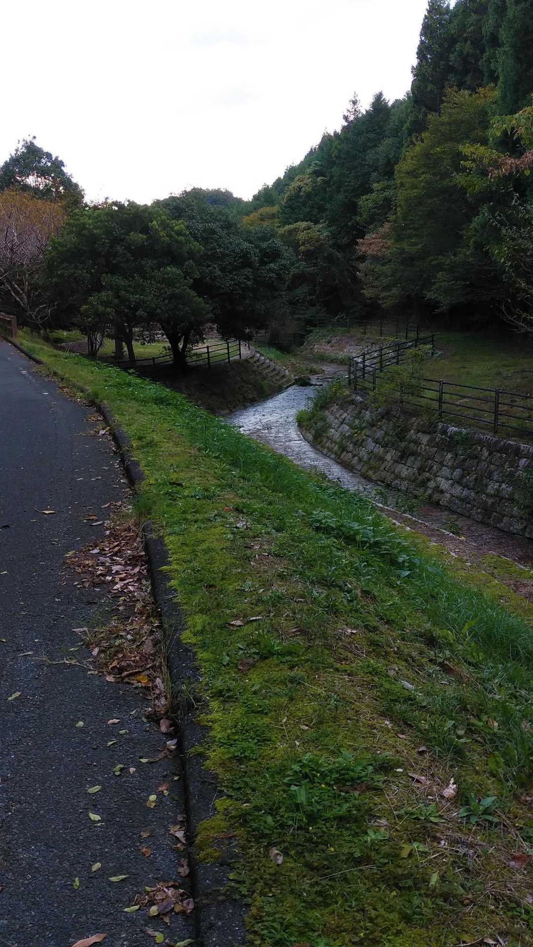 ロード歩き🐾