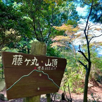 【藤ヶ丸登頂 665㍍】
広島市(森林公園)が環境整備していることもあって登りやすかったです👏respect