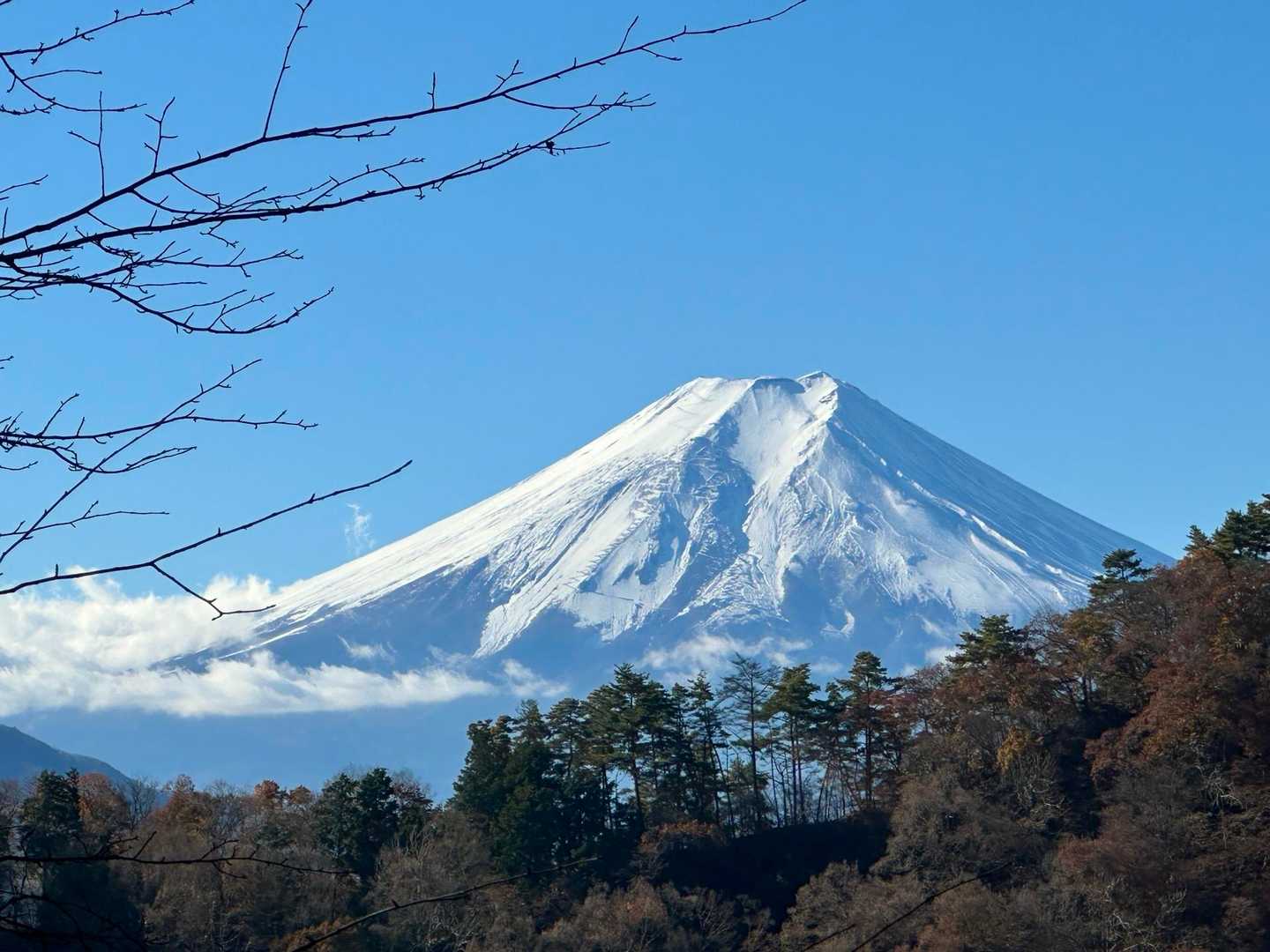 初狩駅-登山道入口-高川山-田野倉駅 縦走コースの写真