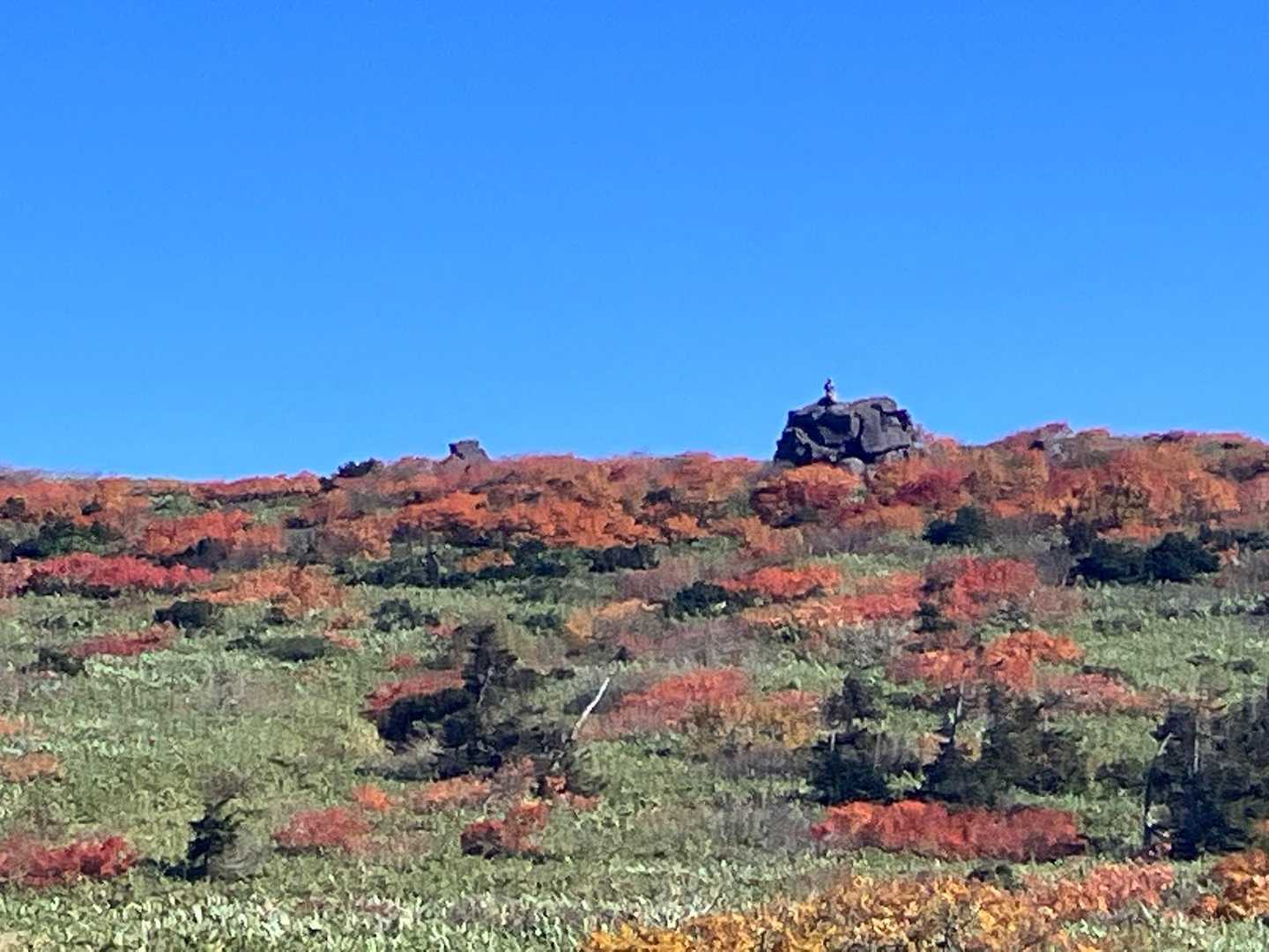 皆んなが登りたくなる岩
