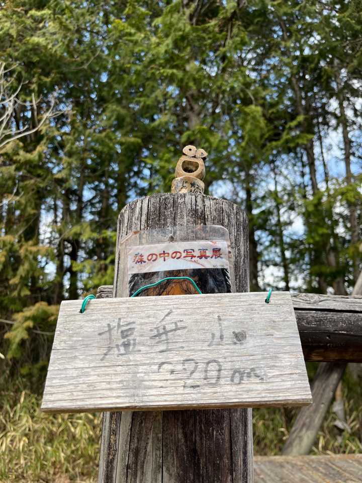 塩垂山‥‥塩ダレ🥩🧂
美味しそうな名前です笑