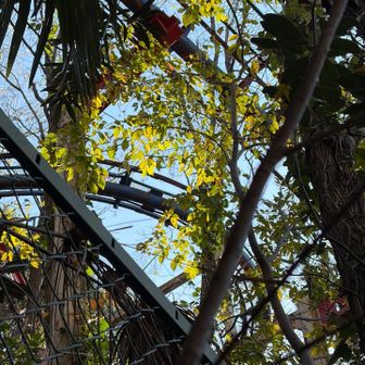 ギリギリまで接近を試みます。
100mルールでゲットできたかな⁉️