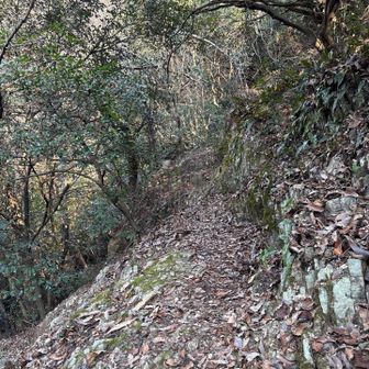 序盤から風情のある山道で楽しい
