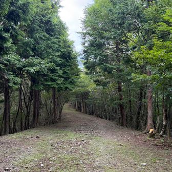 2時ごろ雨雲が来そうなので、この先の千ノ時には行かずUターン