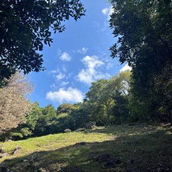 格闘しつつ山頂見えて来た

アナグマ🦡は写真ありません