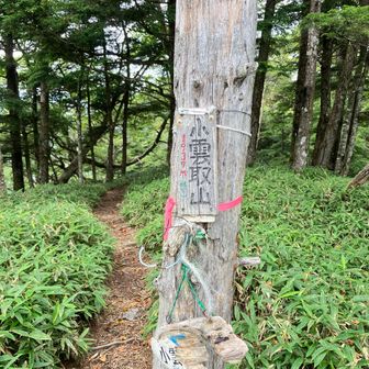小雲取山ピーク