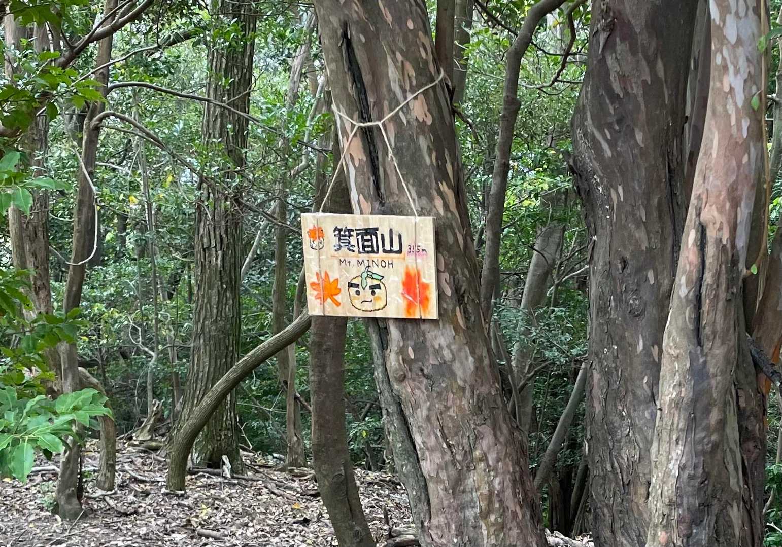 箕面らしい。滝の道ゆずる