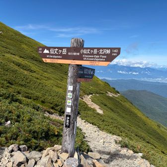 仙丈ヶ岳まであと20分