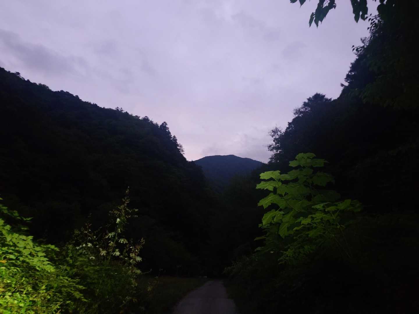 始まってきました💕